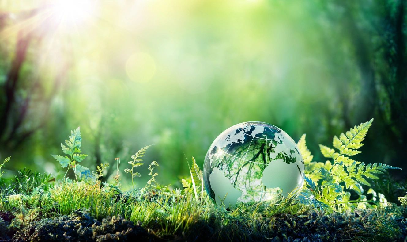 Environmental infrastructure and landscape